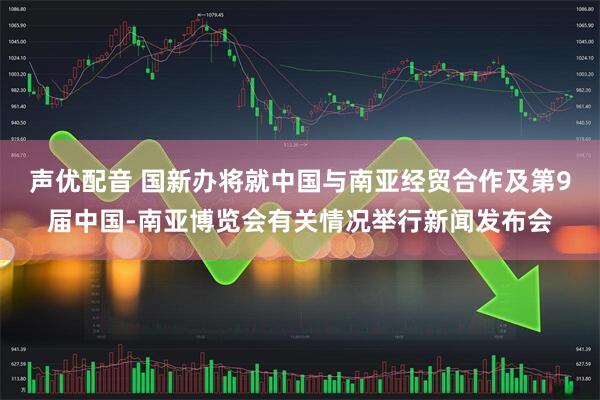 声优配音 国新办将就中国与南亚经贸合作及第9届中国-南亚博览会有关情况举行新闻发布会