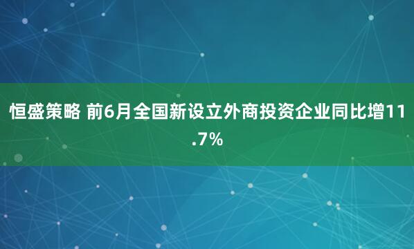 恒盛策略 前6月全国新设立外商投资企业同比增11.7%