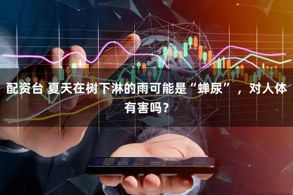 配资台 夏天在树下淋的雨可能是“蝉尿” ，对人体有害吗？