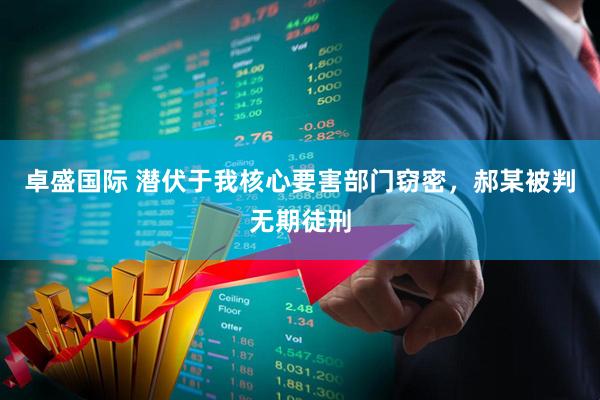 卓盛国际 潜伏于我核心要害部门窃密，郝某被判无期徒刑