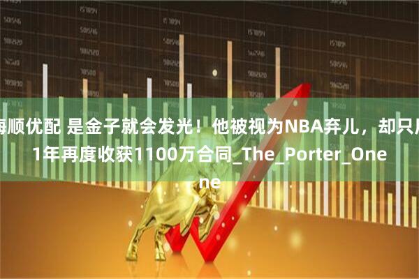 海顺优配 是金子就会发光！他被视为NBA弃儿，却只用1年再度收获1100万合同_The_Porter_One